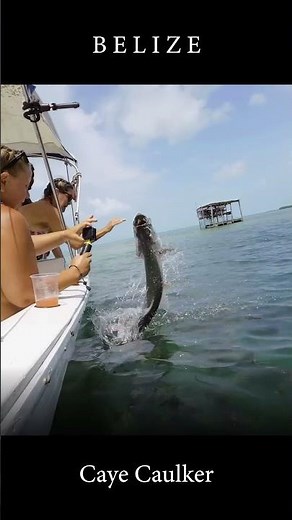Caye Caulker Belize #belize #travel