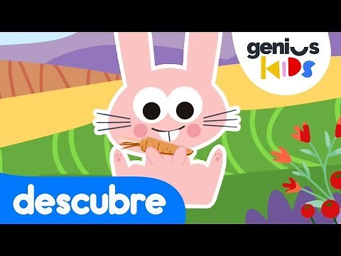 Los animalitos y la primavera | Videos para niños | Aprende jugando