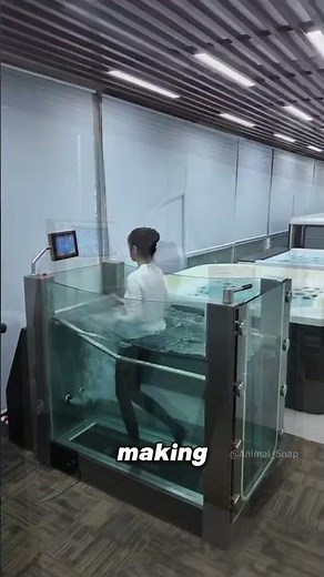 Underwater Treadmill!