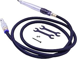 Engraving Pen Engraver,for Fine Engraving and Marking on Metal,Fossil Prep,Plastic,Wood,Glass,with 1 Stylus Tip