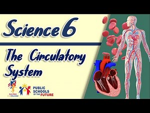GRADE 6- THE CIRCULATORY SYSTEM Science 6 | SULONG EDUKALIDAD by Sir C.G.