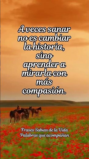 Mirar con compasión | Frase poética