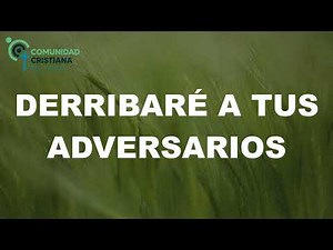 Te daré lo mejor del trigo - Proyecto Puertas abiertas (Letra)