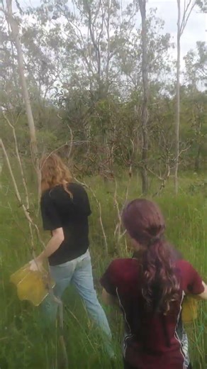 setting the yabby traps