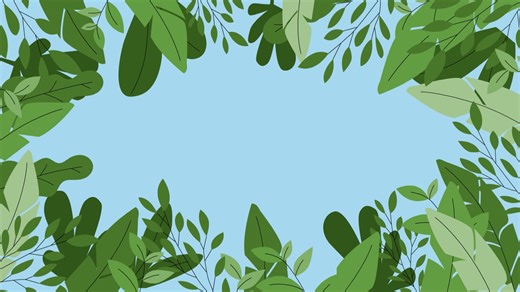 EMS_Educational_Video_V4b