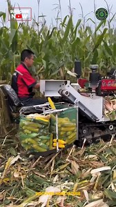 Corn/maize Harvesting Machine #corn #harvesting #machine #agriculture #agriculturemachine #Farming #farmingmachine | Discover Agriculture