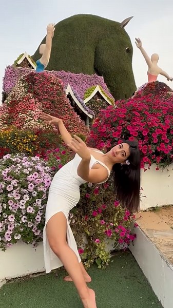 Discover the Art of Belly Dance with Raksh Sharki