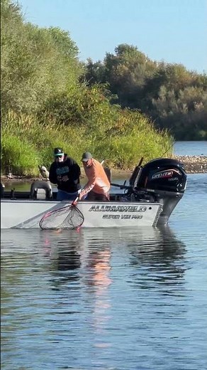 Reel in the Thrill: Sac River Salmon Action with Team Goodwin
