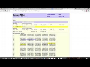 Tutorial Diseño de Iniciadores, primers o cebadores con Primer3plus