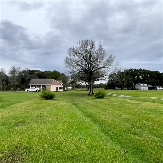 Explore Green Jean Farms: A Journey into Farming Life