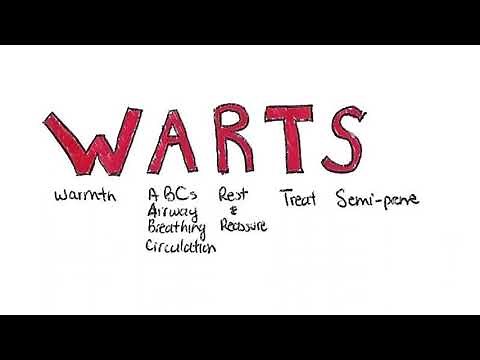 What to do when someone has a stroke?