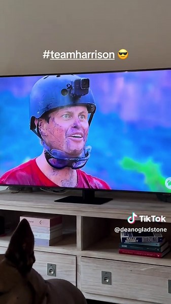 Exploring Gladstone: Activities and Attractions in Town