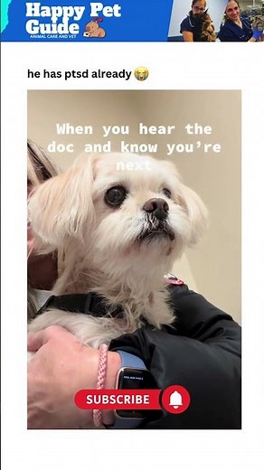 The Fear Is REAL at the Vet Clinic 😂🐶