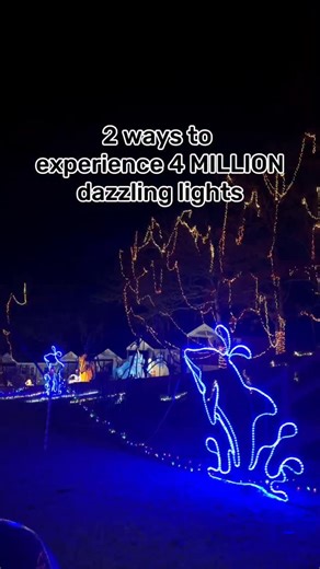 5.1K views · 463 reactions | The most magical drive-thru lights in St. Louis are BACK! ✨ Get ready to experience 35 acres of 4 million lights, animated scenes and tunnels of endless holiday cheer at @santas_magical_kingdom. 六‍ Open nightly until Jan. 5 - grab your tickets early because weekends fill up fast! Open nightly | Explore St. Louis | Facebook