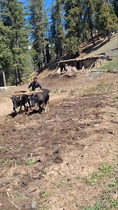 Gojti gojti gojri song gojri song gojrinsong gojri geet gojri geet gojri gana gojri gana gojrinphari song gojrinphari song gsisnsois gojri phari song sjsiis gojrinphari songGojti gojti gojri song gojri song gojrinsong gojri geet gojri geet gojri gana gojri gana gojrinphari song gojrinphari song gsisnsois gojri phari song sjsiis gojrinphari song | Sofia KhanRhythm