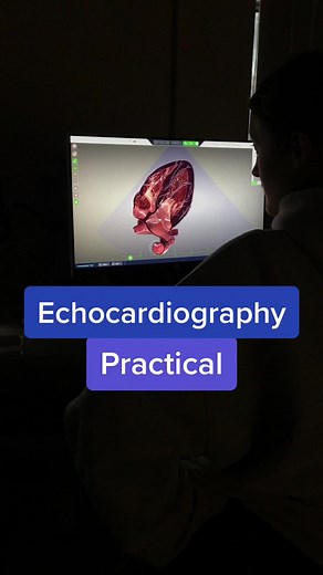 Third year transthoracic echo practical - using ultrasound to look at the heart structure and function 🫀 #cardiacphysiology #leedsuni #echocardiography