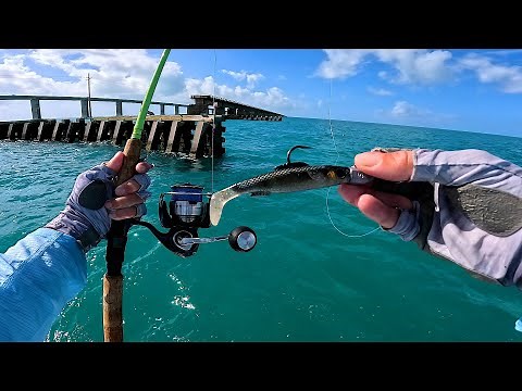 Seven Miles Of Fishing Paradise Epi 2 - The Florida Keys