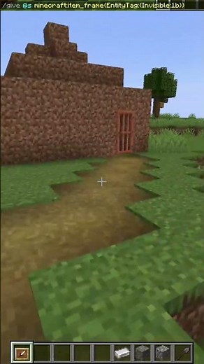 Niewidzialne ramki w minecraft!