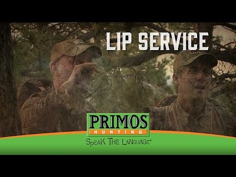 How to use the Primos Lip Service Elk Call