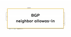 BGP neighbor allowas-inコマンド | ネットワークのおべんきょしませんか？