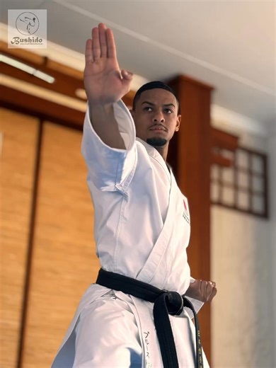  Why Bushido? Why the Samurai suit?  Premium imported fabric ...