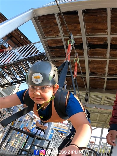 ZIP ZAP ZOOM #adventure #harnessziplineandadventureresort #zipline #fyp
