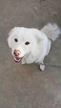 [BTS TWITTER] 150823 Taehyung with Soonsim