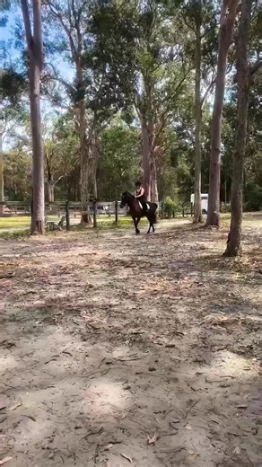 Rider of the Week!🥇 Our ROTW last week goes to Charlotte! Charlotte has been riding with us for almost 2yrs and she has come such a long way! She is always keen to learn more and become better! Her drive to horse riding is so lovely to see! She is fairly new to learning a few small jumps but is progressing so well! Well done Charlotte💖🐎 | Saddles & Sunsets