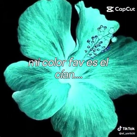 bueno tengo 2 colores fv el azul marino y el cyan