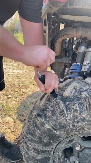 Stop & Go Mushroom Plugs Demonstration