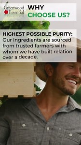 Greenwood Essential Pure Cypriol Essential Oil (Cyperus scariosus) Steam Distilled 15ml (0.50 oz)