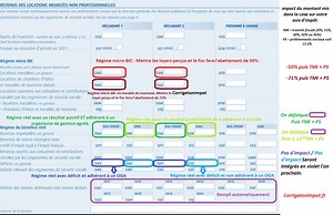 Location meublée : les cases à remplir sur la déclaration d'impôt.