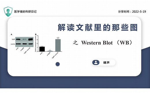 解读文献里的那些图之 Western Blot (WB)