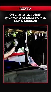 On Camera, Wild Tusker Padayappa Attacks Parked Car in Munnar