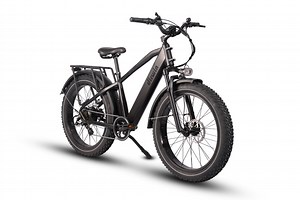 Dirwin Pioneer Lite Hunting Electric Bike | 750W Motor, 50  Miles