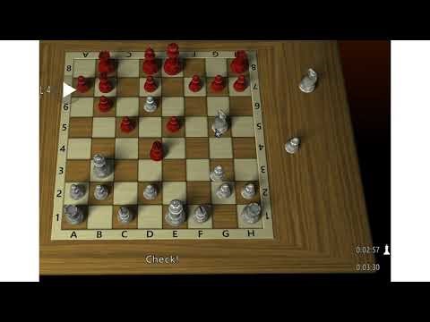 Playing chess with the computer.