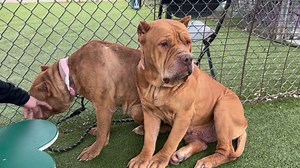 216K views · 5.7K reactions | UPDATE - a safe place has been secured...