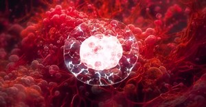 Reproductive Cell Division Living Organism Microscope Scientific Medical Concept