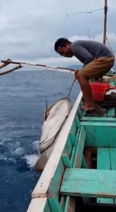 A fisherman caught a giant fish and is trying to escape! #fishing #fisherman #virals #trending #fypviralシ | Pinoy Trending Reels