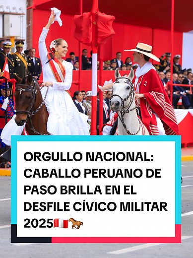 Caballo Peruano de Paso: Orgullo Nacional en 2025