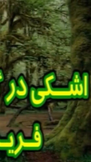 داریوش اقبالی - اشکی در گذرگاه تاریخ