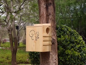 Amazon.com : INRLKIT Squirrel House for Outside - Large Wood Squirrel House with Exterior Porch, Wooden Squirrel Nesting Box for Squirrels,Chipmunk and Small Animals : Patio, Lawn & Garden