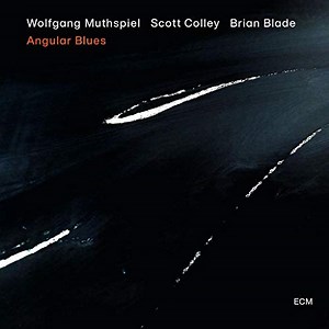 Angular Blues / Wolfgang Muthspiel, Scott Colley, Brian Blade (2020) - ジャズギターを聴く