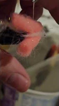 Fly tying tutorial for pink lady fly.