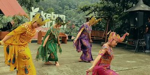 3K views · 14 reactions | Dalam setiap kibasan sayap 連 dan lirikan...