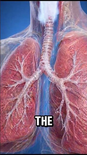 Is vaping more harmful than smoking? #humananatomy #science #humanleg #facts #howthebodyworks
