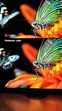 LG G5 VS PANASONIC Z95B Tandem Oled Battle!