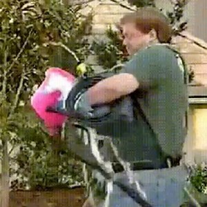 8.5K views · 82 reactions | Washing the car can be difficult on your own...We make it simple! | Quality Car Wash | Facebook