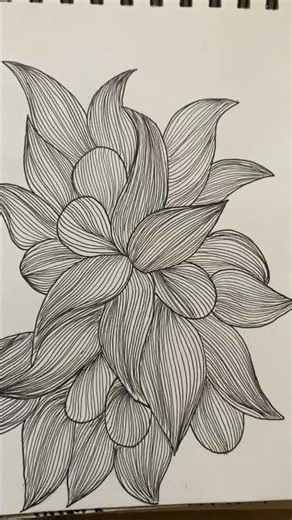 Beautiful flower zentangle drawing