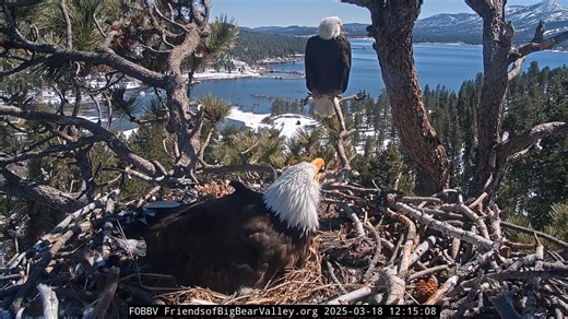 1.5M views · 50K reactions | Fluffy, full and funny… Yesterday as...